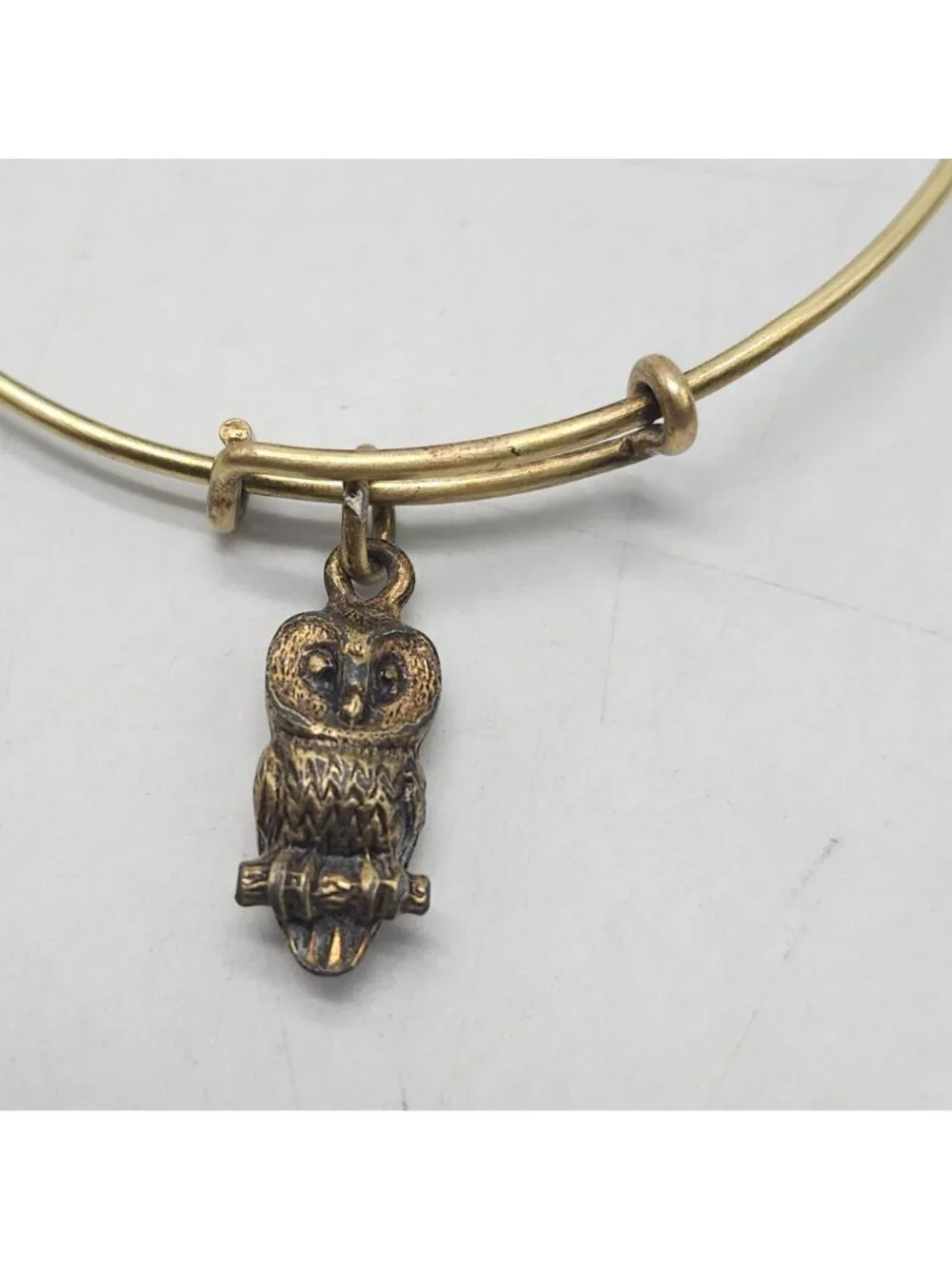 Alex and Ani Gold Tone Adjustable Bangle Bracelet With Owl Charm Pendant